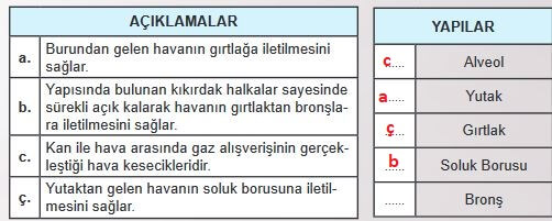 6. Sınıf Fen Bilimleri Sayfa 69 Cevapları MEB 