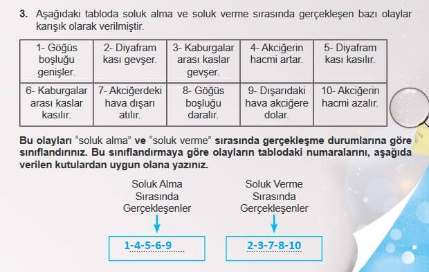 soluk alıp verme sırasında gerçekleşenler