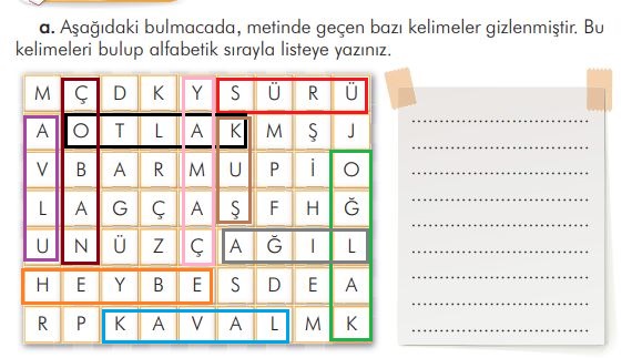 3. Sınıf Türkçe Ders Kitabı 43. Sayfa Cevapları İlke Yayınları