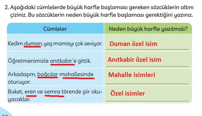 3. Sınıf Türkçe Ders Kitabı 30. Sayfa Cevapları MEB Yayınları