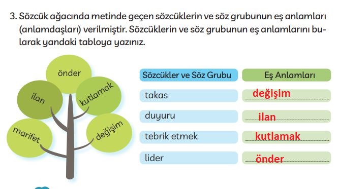 3. Sınıf Türkçe Ders Kitabı 31. Sayfa Cevapları MEB Yayınları