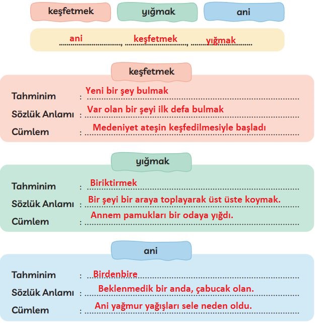 3. Sınıf Türkçe Ders Kitabı 36. Sayfa Cevapları MEB Yayınları