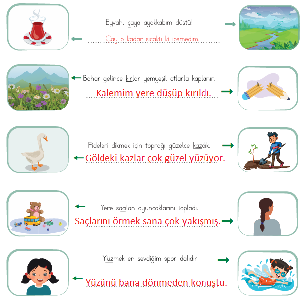 4. Sınıf Türkçe Ders Kitabı 67. Sayfa Cevapları MEB Yayınları