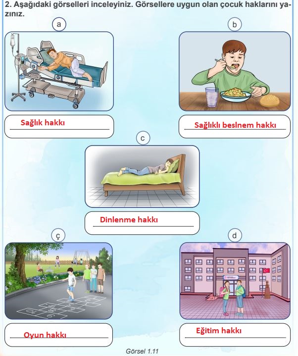 4. Sınıf İnsan Hakları Vatandaşlık Ve Demokrasi Ders Kitabı Cevapları Sayfa 25