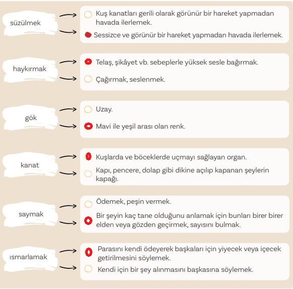 5. Sınıf Türkçe Ders Kitabı 56. Sayfa Cevapları MEB Yayınları 