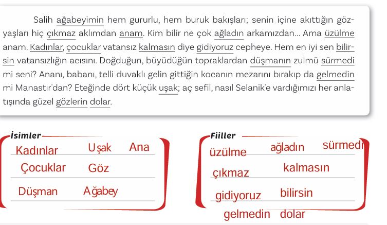 5. Sınıf Türkçe Ders Kitabı 96. Sayfa Cevapları MEB Yayınları 