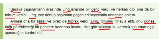 6. Sınıf Türkçe Ders Kitabı 31. Sayfa Yıldırım Yayınları