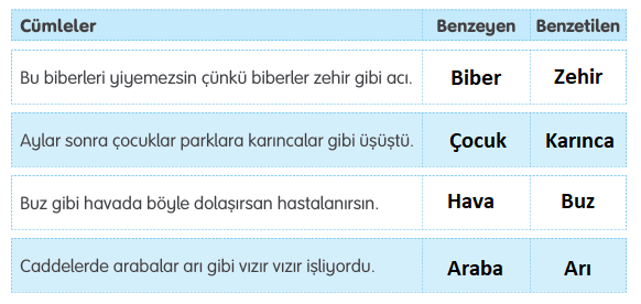 4. Sınıf Türkçe Sayfa 28 Cevap