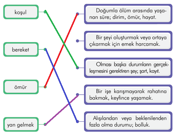 3. Sınıf Sayfa 15 Cevap