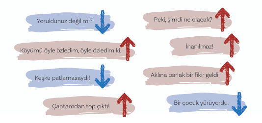 5. Sınıf Türkçe Sayfa 29 Cevapları