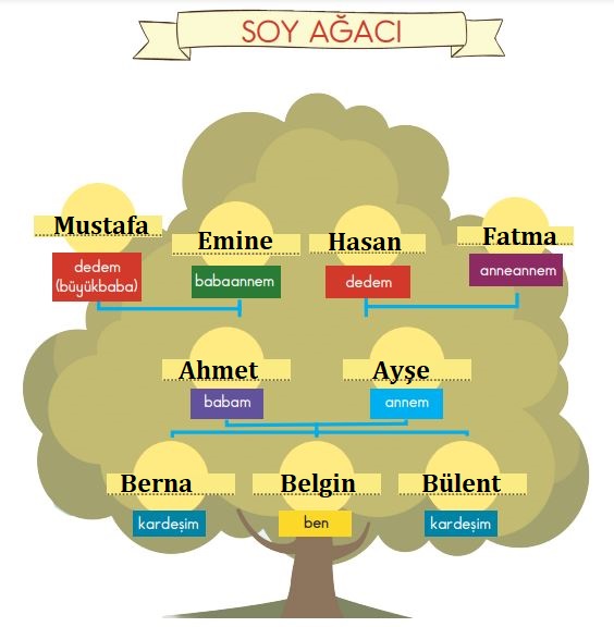 2. Sınıf Hayat Bilgisi Sayfa 67 Cevabı