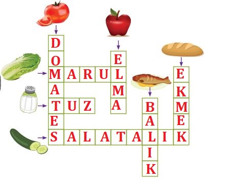 2. Sınıf Hayat Bilgisi MEB. Yayınları Sayfa 115 Cevapları