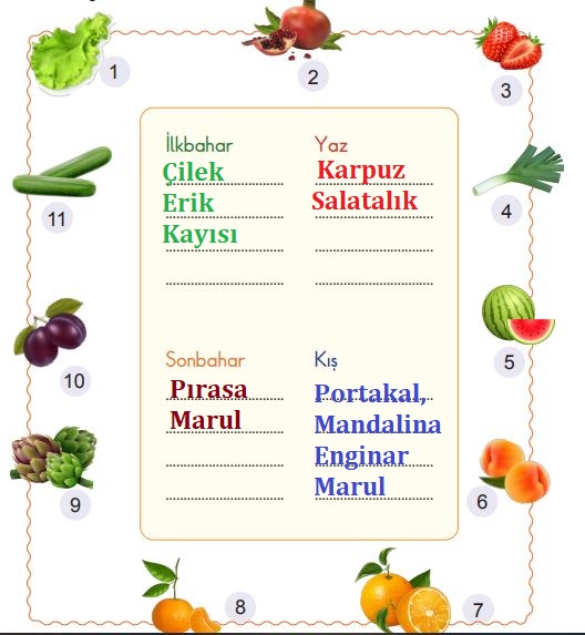 2. Sınıf Hayat Bilgisi MEB. Yayınları Sayfa 130 Cevapları