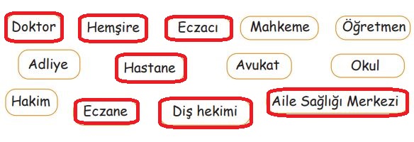 2. Sınıf Hayat Bilgisi MEB. Yayınları Sayfa 137. Cevapları