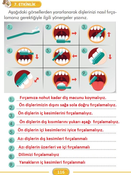 2. Sınıf Türkçe Ders Kitabı 116. Sayfa Cevapları İlke Yayınları