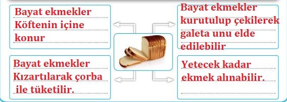 3. Sınıf Hayat Bilgisi MEB 74. Sayfa Cevapları