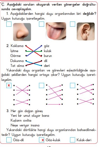 3. sınıf fen bilimleri 48. sayfa cevapları sdr dikey yayınları