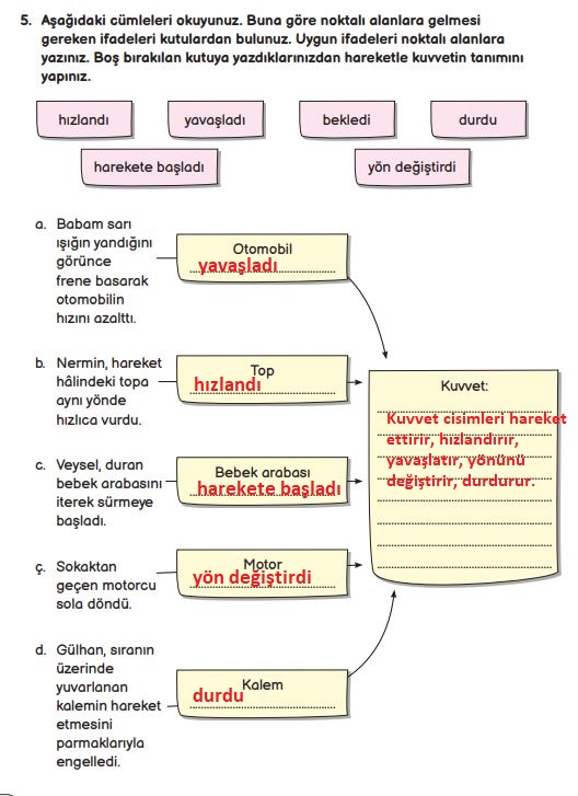 3. sınıf fen bilimleri 88. sayfa cevapları meb yayınları