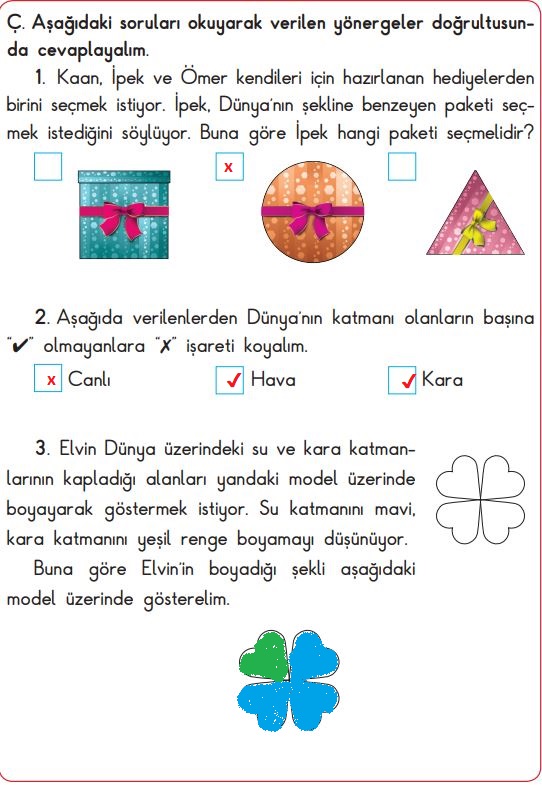 3. sınıf fen bilimleri sayfa 31 cevapları sdr dikey yayınları