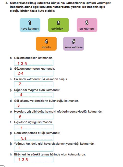 3. sınıf fen bilimleri sayfa 40 cevapları meb yayınları