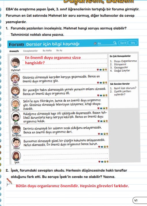 3. sınıf fen bilimleri sayfa 47 cevapları meb yayınları