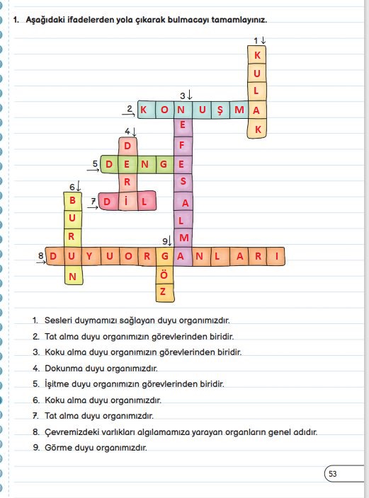 3. sınıf fen bilimleri sayfa 53 cevapları meb yayınları