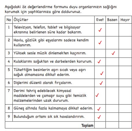 3. sınıf fen bilimleri sayfa 60 cevapları ek-3 formu meb yayınları