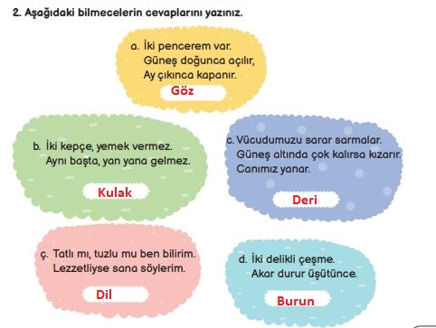 3. sınıf fen bilimleri sayfa 61 cevapları meb yayınları