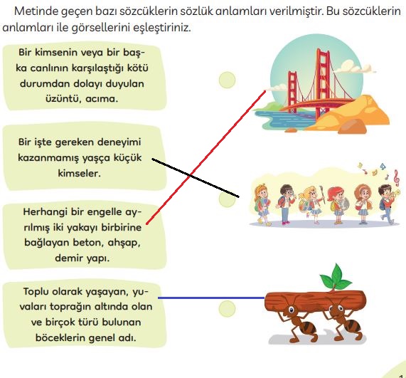 3. sınıf türkçe ders kitabı sayfa 101 cevapları meb yayınları