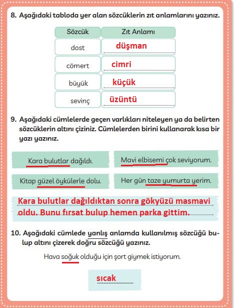 3. sınıf türkçe ders kitabı sayfa 115 cevapları meb yayınları