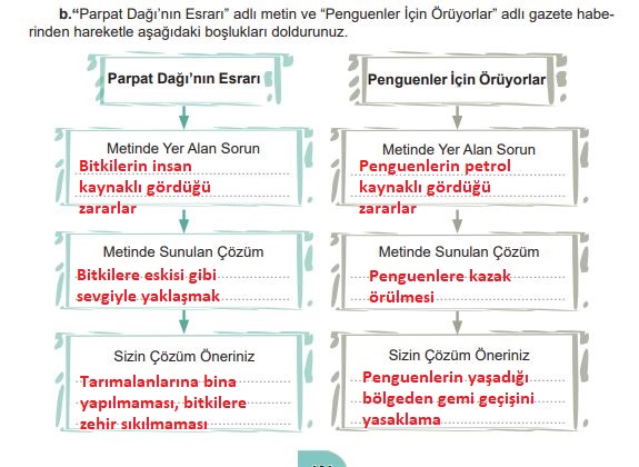 6. sınıf türkçe ders kitabı cevapları meb yayınları sayfa 101