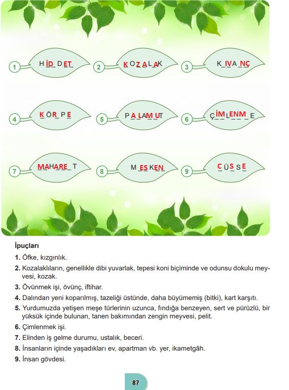 6. sınıf türkçe ders kitabı cevapları meb yayınları sayfa 87