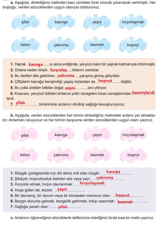 6. sınıf türkçe ders kitabı cevapları meb yayınları sayfa 98