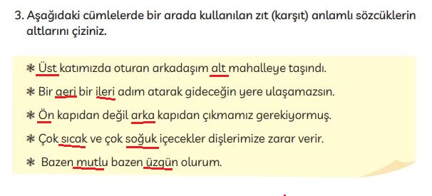 3. sınıf türkçe ders kitabı cevapları sayfa 132 meb yayınları