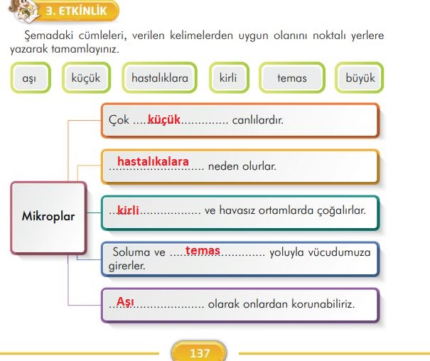 3. sınıf türkçe ders kitabı sayfa 137 ilke yayınları