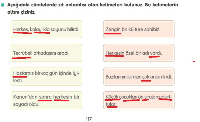 4. sınıf türkçe ders kitabı sayfa 117 tuna yayınları