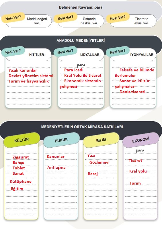 5. sınıf sosyal bilgiler ders kitabı cevapları sayfa 137 meb yayınları 1. kitap