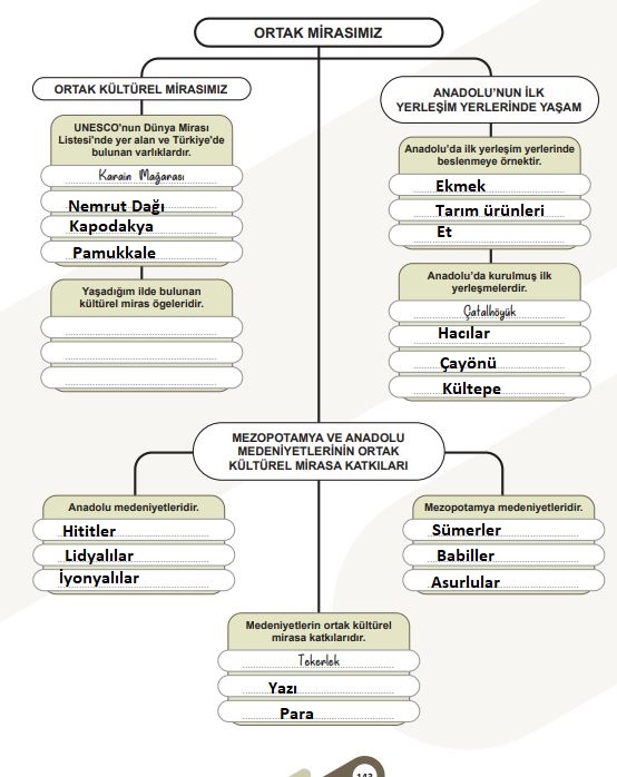 5. sınıf sosyal bilgiler ders kitabı cevapları sayfa 143 meb yayınları 1. kitap