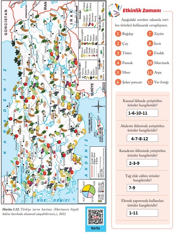 6. sınıf sosyal bilgiler sayfa 116 cevapları evos yayınları