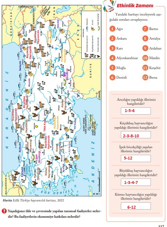 6. sınıf sosyal bilgiler sayfa 117 cevapları evos yayınları