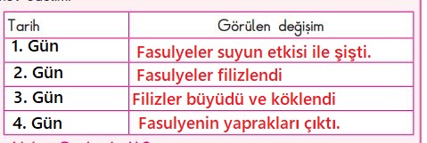 3. sınıf fen bilimleri sayfa 154 cevapları SDR Dikey yayınları