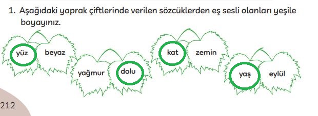 3. sınıf Meb yayınları Türkçe ders kitabı cevapları sayfa 212