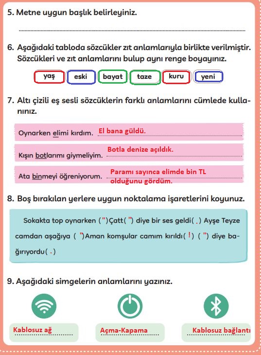 3. sınıf Meb yayınları Türkçe ders kitabı cevapları sayfa 223