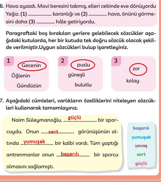 3. sınıf Meb yayınları Türkçe ders kitabı cevapları sayfa 258