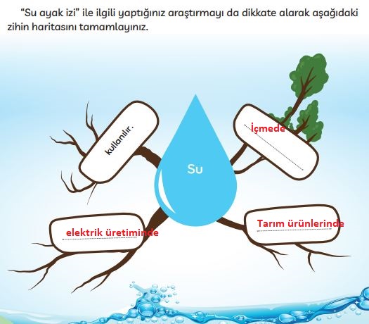 3. sınıf Meb yayınları Türkçe ders kitabı cevapları sayfa 270