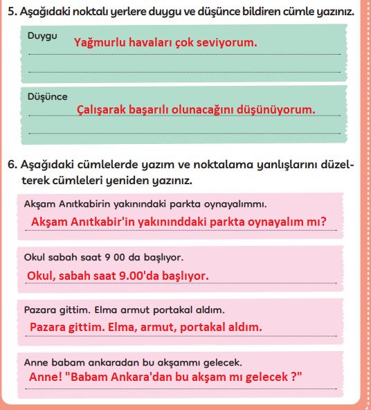 3. sınıf Meb yayınları Türkçe ders kitabı cevapları sayfa 293