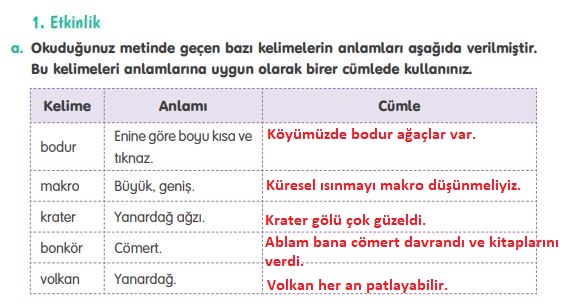 4. Sınıf Tuna Yayınları Türkçe ders kitabı cevapları sayfa 175