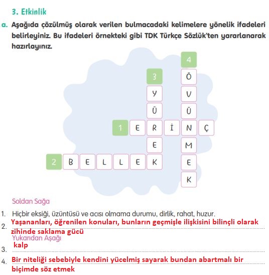 4. Sınıf Tuna Yayınları Türkçe ders kitabı cevapları sayfa 247