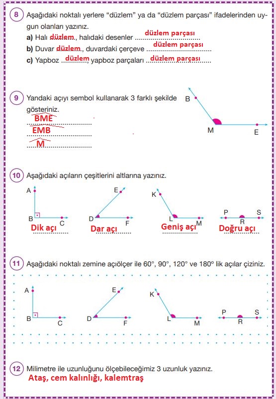 4. sınıf pasifik yayınları matematik ders kitabı cevapları sayfa 233