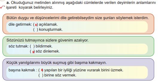 6. sınıf Meb Yayınları Türkçe Ders Kitabı Sayfa 177 Cevapları